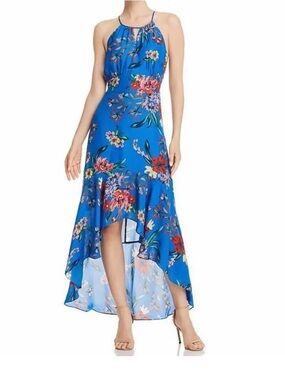 Like New Parker Davina Floral Print Halter Maxi size 6